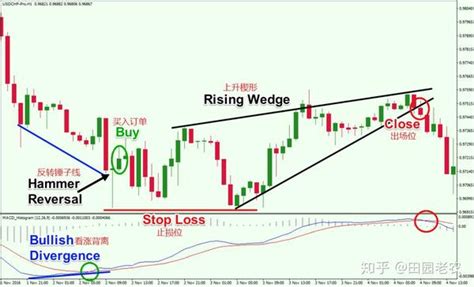 【干货】macd指标交易策略详解（附图例） 知乎