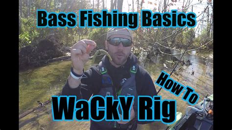 How To Wacky Rig Bass Fishing Basics Underwater Footage Youtube