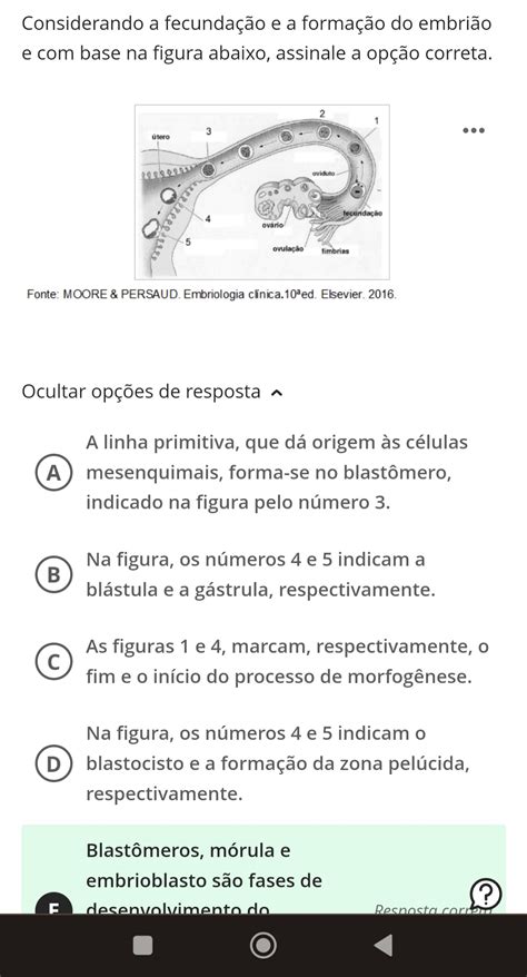 CONCEPÇÃO E FORMAÇÃO DO SER AVA AV2 Concepção e Formação do Ser Humano