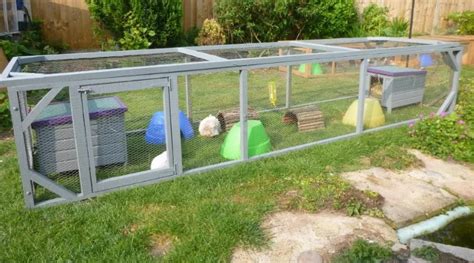 10 DIY Guinea Pig Cages: Building Ideas and Guide