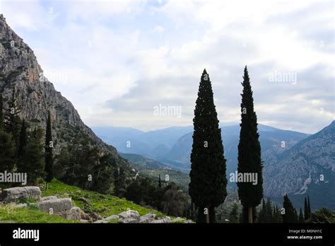 Greece Cypress Hi Res Stock Photography And Images Alamy