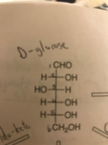 Biochem Exam Carbohydrates Flashcards Quizlet