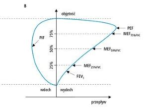 Zasady Interpretacji Spirometrii Spirometria Spirometria Medycyna