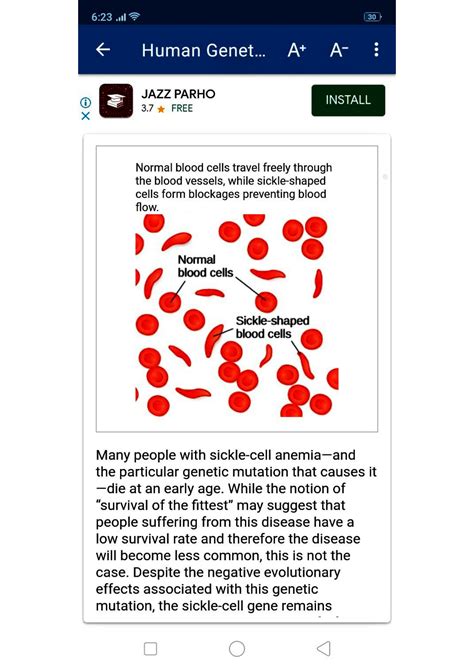 The Genetics Of Sickle Cell Anemia Answer Key 6