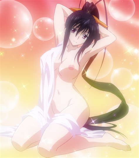 Rule 34 Akeno Himejima Female High School Dxd Large Breasts Stitched 7243009