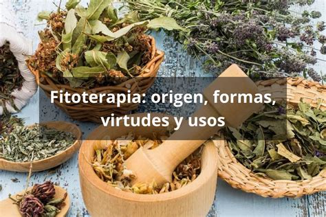 Fitoterapia Origen Formas Virtudes Y Usos Tienda Bodylogic