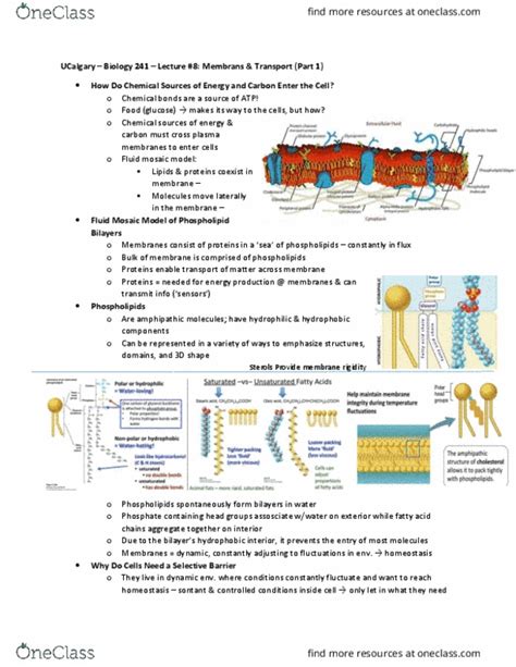 Class Notes For BIOL 241 At University Of Calgary U OF C