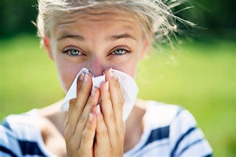 Hay Fever And Allergy Medications Explained Healthtap Blog