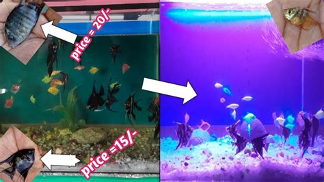 HOW TO CHANGE WATER IN AQUARIUM Aquarium Ka Water Kaisa Change Kare