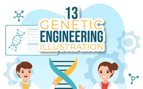 13 Genetic Engineering And Dna Modifications Illustration