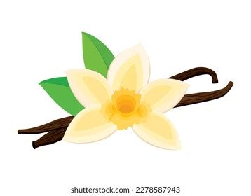 152,976 Vanilla Illustrations Stock Vectors and Vector Art | Shutterstock