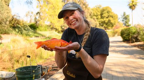 wildlife biology degree uc davis