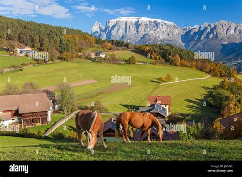 Valley And Dolomites Nr Bolzano Trentino Alto Adigesudtirol Italy