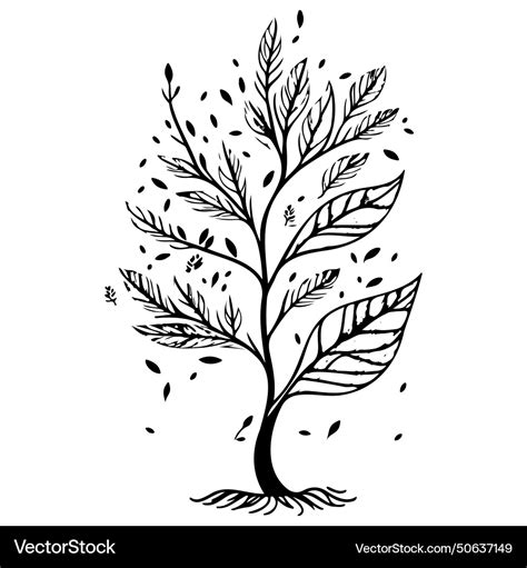 Tree half spring autumn floral sketch hand draw Vector Image