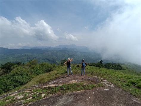 Munnar Great Think Adventures 2022 Qué Saber Antes De Ir Lo Más Comentado Por La Gente