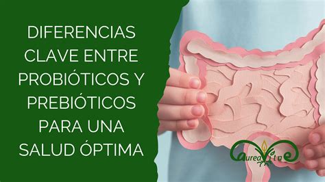 Diferencias Clave Entre Probióticos Y Prebióticos Para Una Salud Óptima