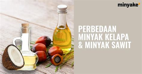 Perbedaan Minyak Kelapa Dan Minyak Sawit Detail Lengkap