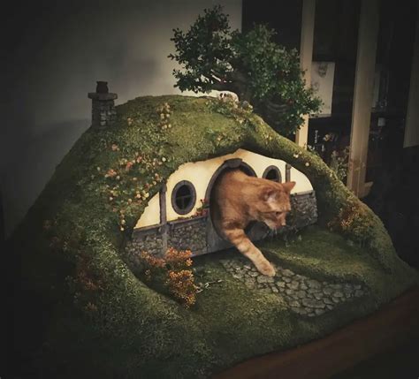 Frodo The Cat With His Own Hobbit Home