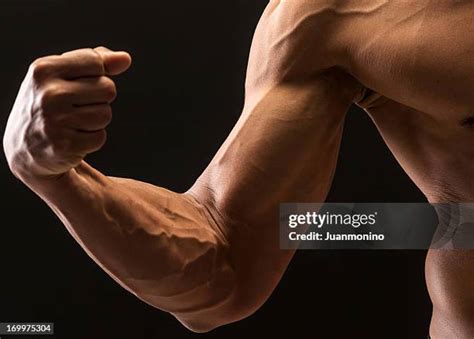 Muscular Forearms Photos and Premium High Res Pictures - Getty Images