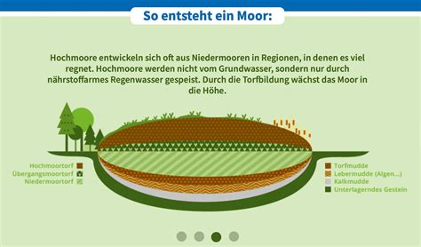 Interaktiv Natur schützen Webentwicklung WIGWAM eG