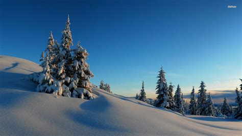 Sunny Winter Day Wallpapers - Wallpaper Cave