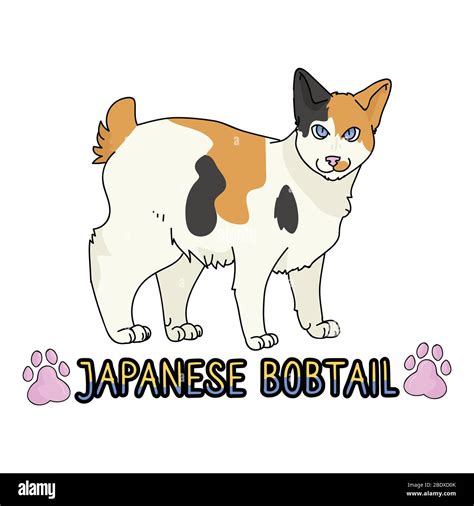 Cute Cartoon Japanese Bobtail Cat Text Vector Clipart Pedigree Kitty