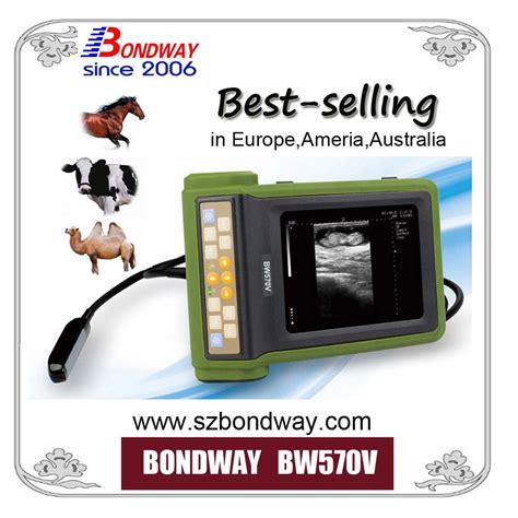 Mindray Ultrasound Scanner Veterinary Hospital Equipment, Cattle Ultrasound, Veterinary ...