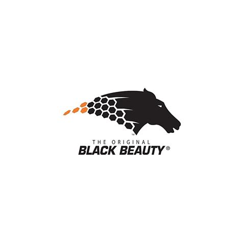 Buy Black Beauty® Abrasive Blast Media Extra Fine Abrasive 3060 Mesh