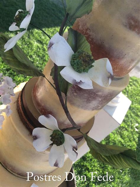 Rustic Elegance Semi Naked Cake Cake By Postres Don CakesDecor