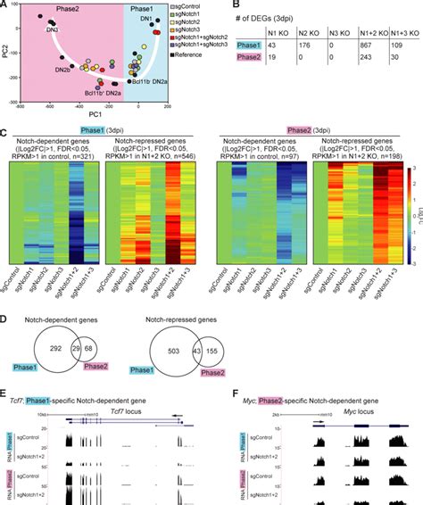 Notch Signaling Regulates Stage Specific Target Genes In Pro T Cells