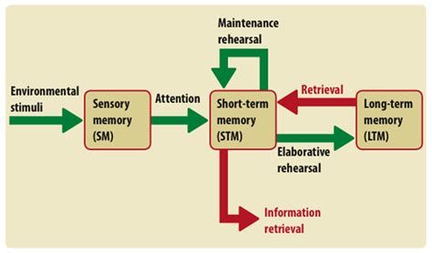 Memory Diagram | Quizlet