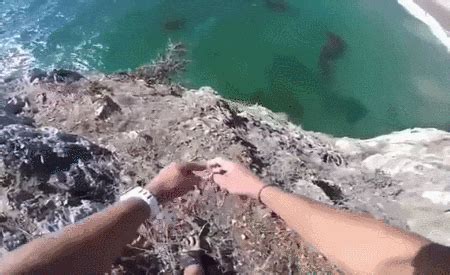 Cliff Jumping GIFs - Find & Share on GIPHY