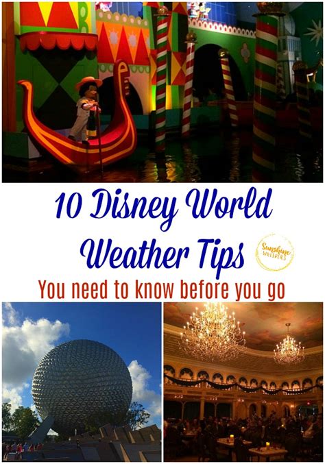 Disney World Weather In February Dacy Michel