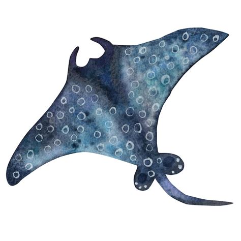 Premium Vector Blue Stingray Watercolor Illustration