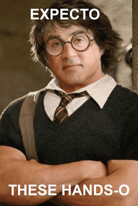 How Different Would Harry Potter Be If Played by Sylvester Stallone ...