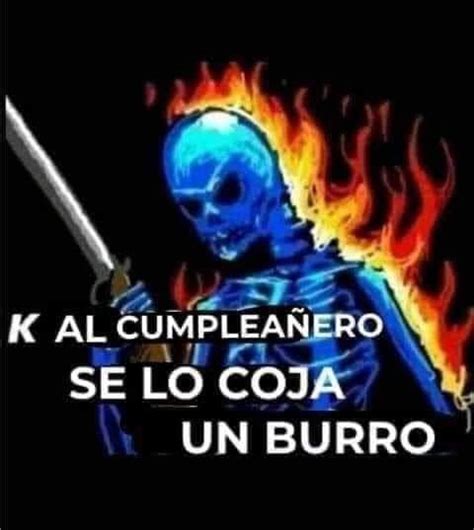 k al cumpleañero se lo coja un burro Imágenes divertidas Memes