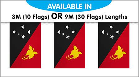 Papua New Guinea Bunting String Flags M Flags Myflag