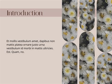 Presentation on Behance