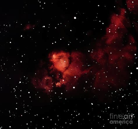 Ic The Fish Head Nebula Photograph By Daniel Triana Fine Art