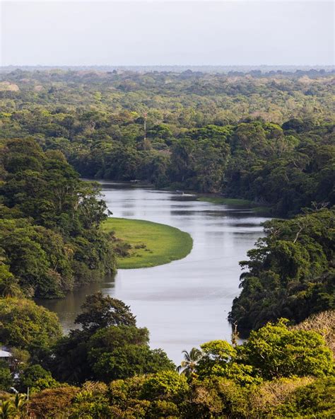 Cerro Tortuguero The Best Walk In Tortuguero — Walk My World