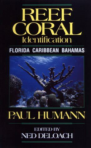 Librarika Reef Coral Identification Florida Caribbean Bahamas