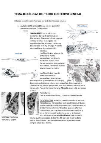 TEMA 4C Listo Pdf