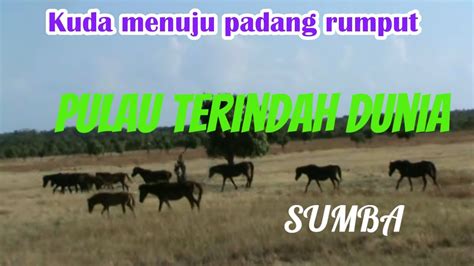 Padang Rumput Di Sumba Pulau Terindah Dunia Youtube