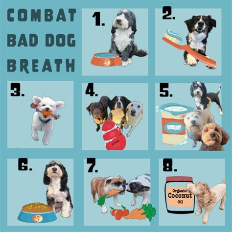 Simple Tips to Combat Bad Dog Breath