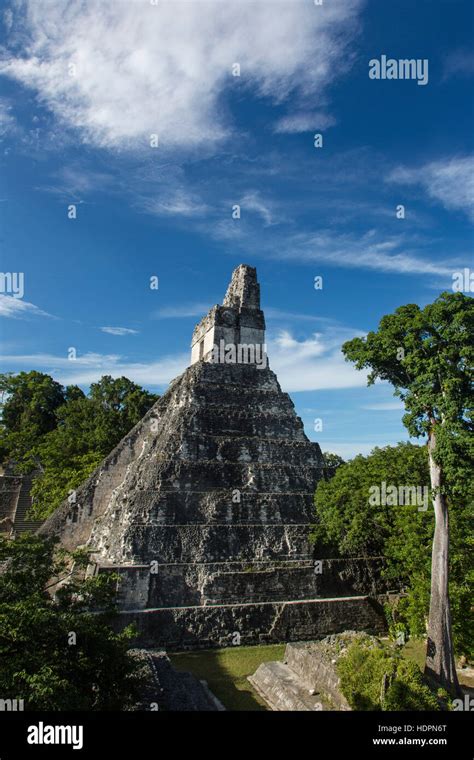 Heiliger Baum Der Mayas Fotos Und Bildmaterial In Hoher Aufl Sung Alamy