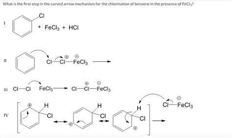 Solved What is the first step in the curved arrow mechanism | Chegg.com