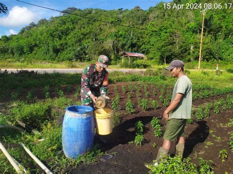 Koptu Fian Hendratmo Komsos Dengan Petani Di Dusun Pasiran Desa Bukit