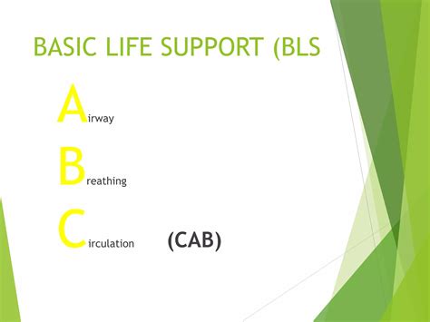 Basic Life Support Adult Bls Ppt