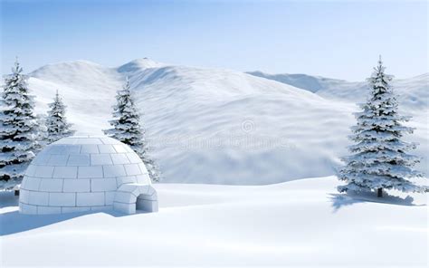 Igloo In Snowfield With Snowy Mountain And Pine Tree Covered With Snow