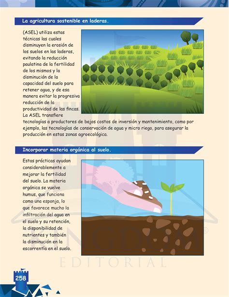 CIENCIAS NATURALES 4to Grado 1 Kingdom Editorial Página 260 Flip